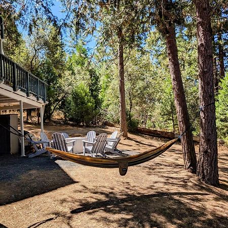 Breckenridge Chalet Near Yosemite. Dog Friendly! Groveland Bagian luar foto