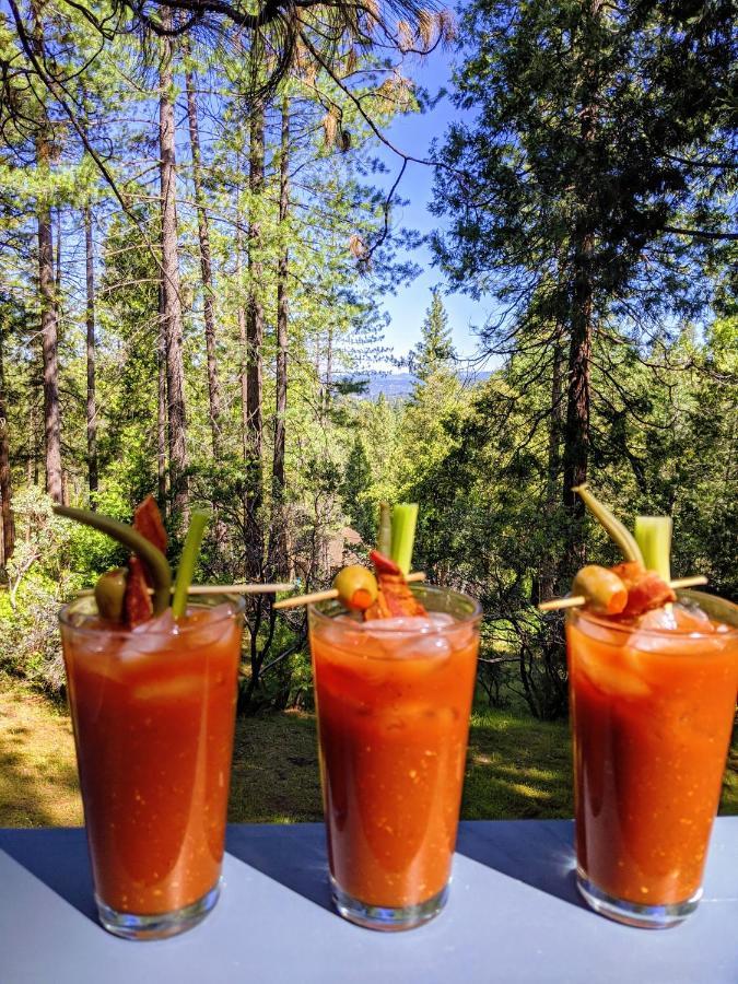 Breckenridge Chalet Near Yosemite. Dog Friendly! Groveland Bagian luar foto
