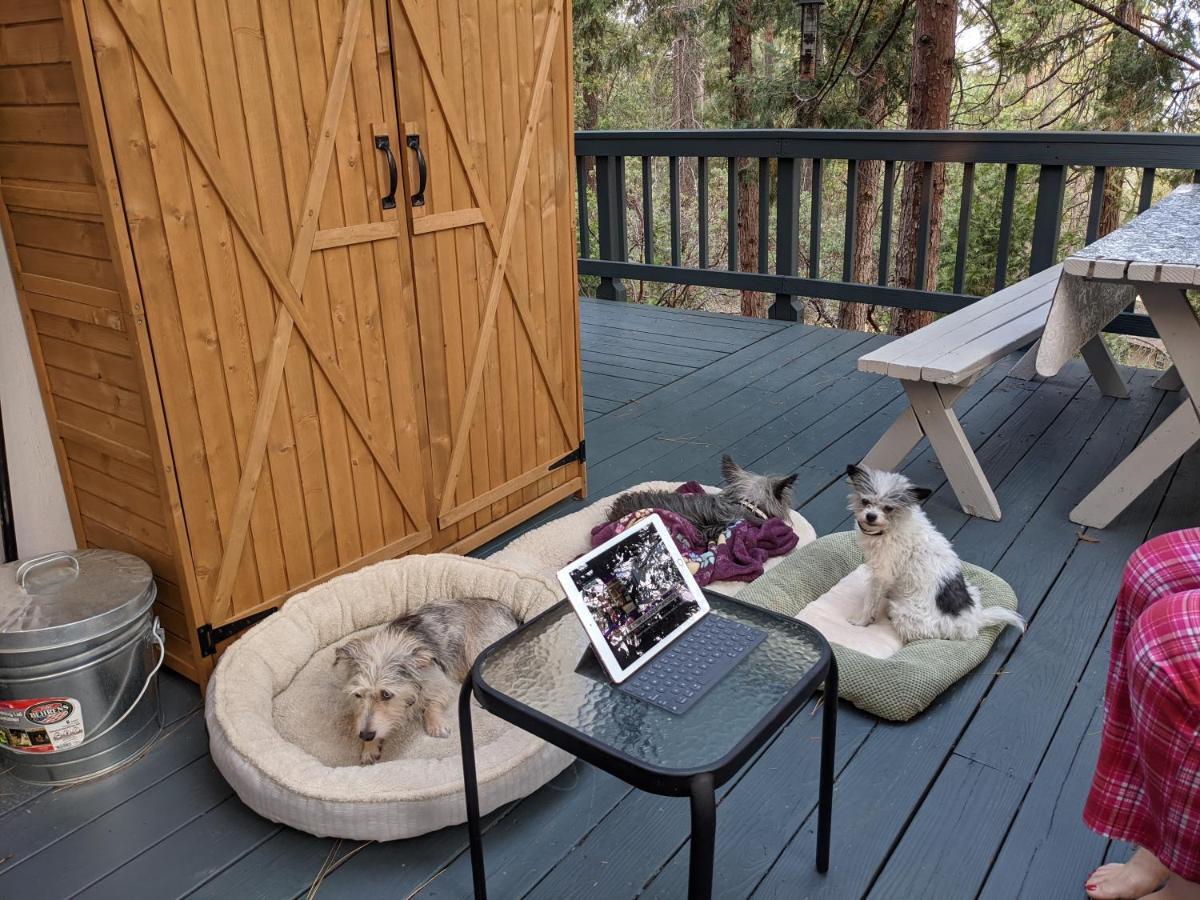 Breckenridge Chalet Near Yosemite. Dog Friendly! Groveland Bagian luar foto